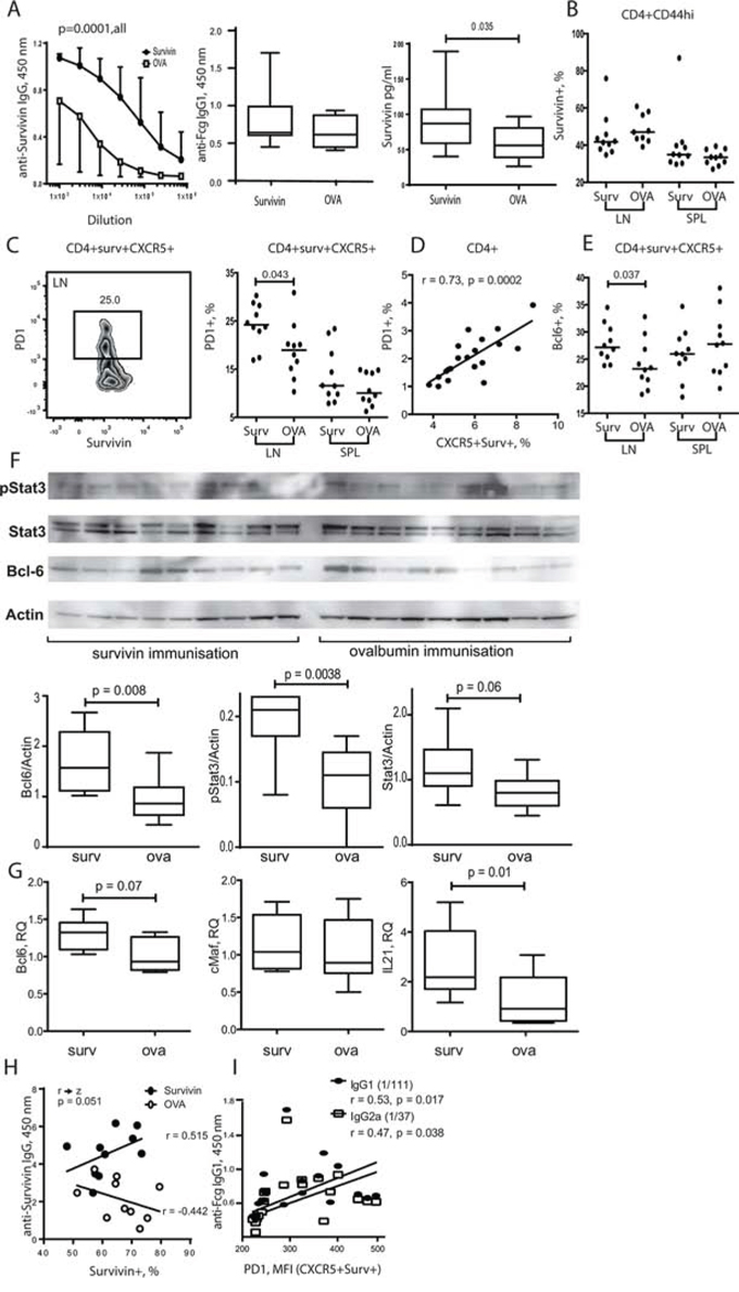 Exposure to survivin enriched PD-1+ Bcl-6+ subset of Tfh cells via STAT3 dependent mechanisms.