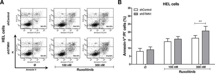 Stathmin 1 inhibition increases the pro-apoptotic effects of ruxolitinib treatment.