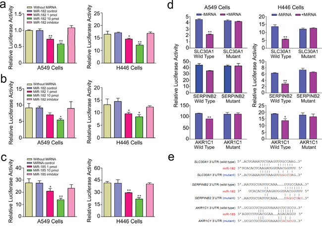 Relative activity of reporter gene constructed with wild type of 3&#x2032;UTR of SLC30A1 a. SERPINB2 b. or AKR1C1 c. gene or their mutant types d. cotransfected with miR-182 or mir-185 or their inhibitors in A549 and H446 cells. Results are mean &#x00B1; SEM obtained from three experiments and each had six replicates. *, P &#x003C; 0.05 and **, P &#x003C; 0.01 compared with without microRNA control or wild type. Mutations in the core microRNA binding sites are shown e.