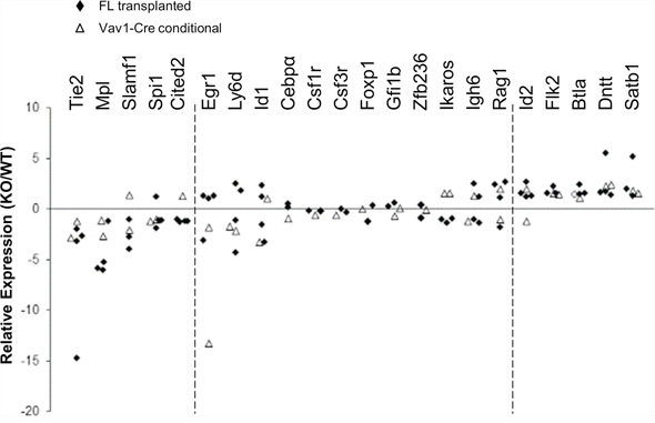 Stat5-deficient HSCs have reduced expression of HSC/quiescence associated genes and increased expression of lymphoid-lineage genes.