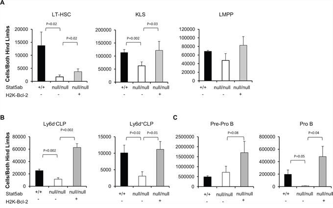 Rescue of Stat5-deficient bone marrow lymphoid progenitors by transgenic Bcl-2 expression.