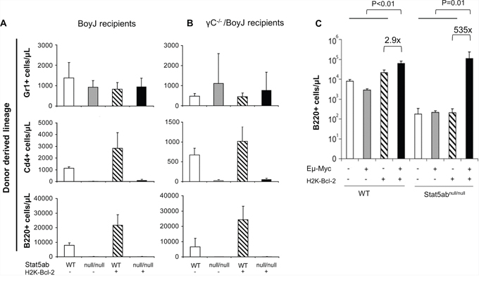 Expansion of peripheral blood Stat5-deficient B-cell precursors by the combined expression of Myc and Bcl-2.