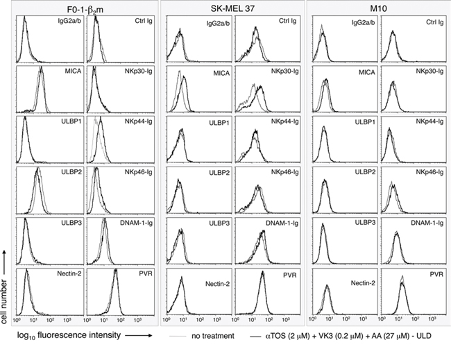 Effect of the &#x03B1;TOS/AA/VK3 cocktail on the surface expression of activating ligands of NK cells.