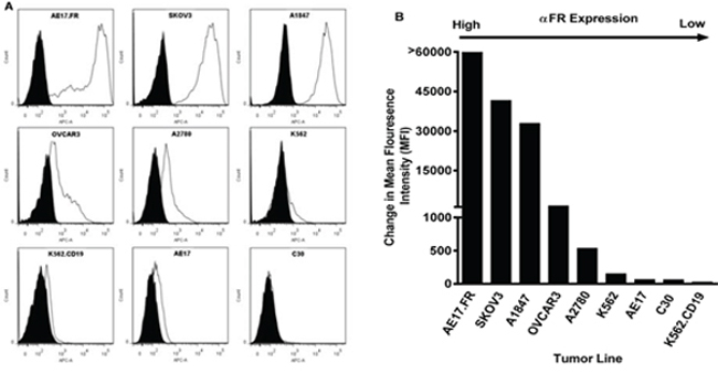 FR&#x03B1; surface expression of human ovarian cancer cell lines by flow cytometry.