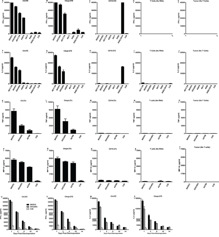 High levels of Th-1 cytokines are secreted by electroporated C4-27z and C4opt-27z RNA CAR T cells in response to FR&#x03B1;+ tumor cells.