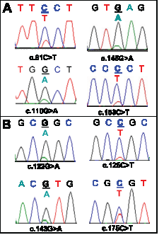 Sequence artefacts detected in FFPE DNA by Sanger sequencing.