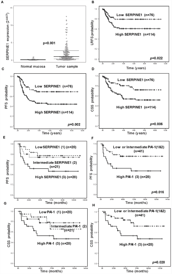 High SERPINE1 expression is associated with poor outcome in patients with head and neck carcinoma in a prospective study.