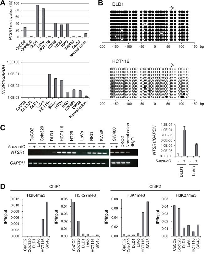 Analysis of NTSR1 methylation and expression in CRC cell lines.