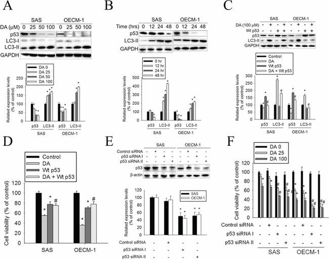 Effects of p53 expression on DA-induced autophagy.