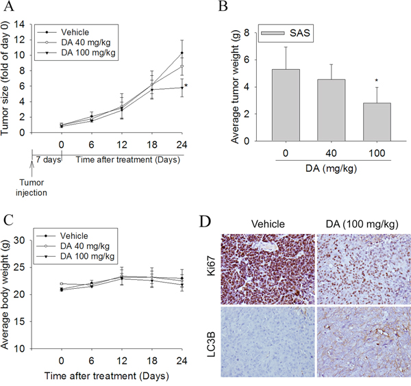 DA suppressed tumor growth SAS cells in vivo.