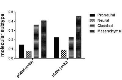 Distribution of molecular subtypes (Proneural, Neural, Classical and Mesenchymal) in primary and recurrent GBM.