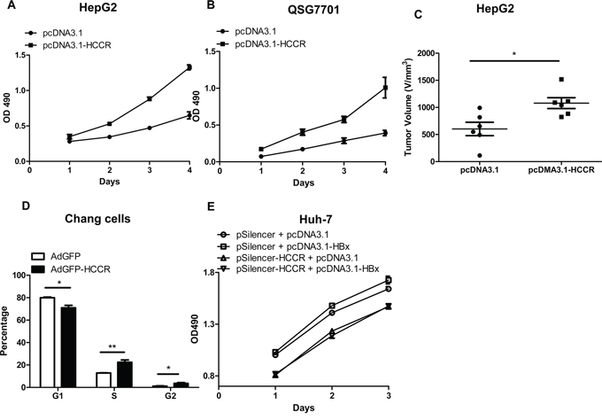 Upregulated HCCR plays a role in HBx-induced hepatocyte growth.