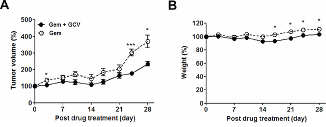 Optimization of gemcitabine-GCV combination treatment in EBVaGC mice.