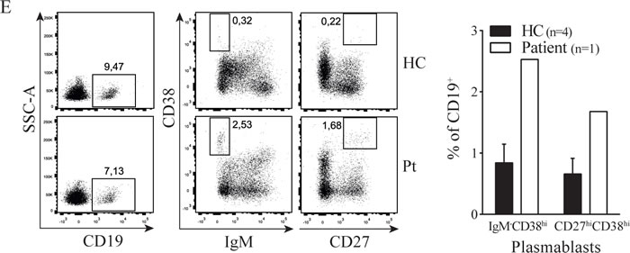 fig1b