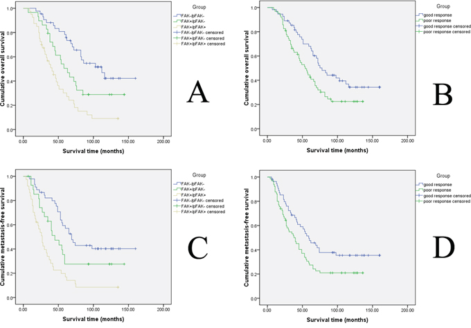 Kaplan&#x2013;Meier analysis of overall survival and metastasis-free survival for patients with different FAK expression levels and for patients with different histological responses to pre-operative chemotherapy.