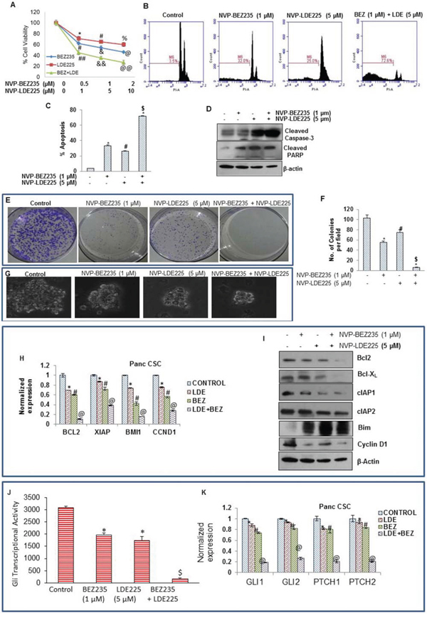 Effect of NVP-LDE-225, NVP-BEZ-235 and their combination on cell viability, apoptosis, and colony and spheroid formation, and protein expression.