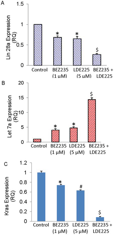 BEZ235 and LDE225 regulate Lin28/Let7a/Kras axis in pancreatic CSCs.
