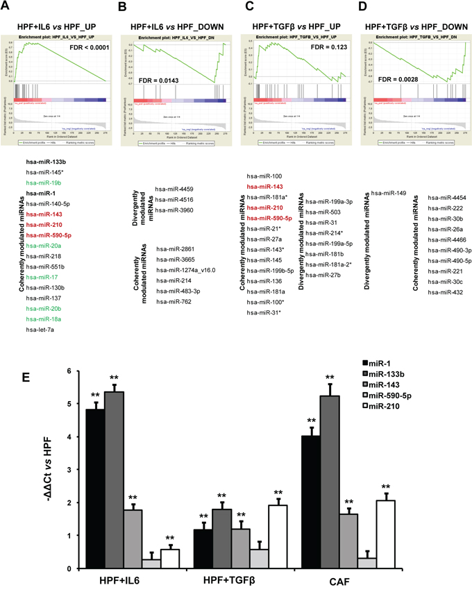 miRNA expression analysis.