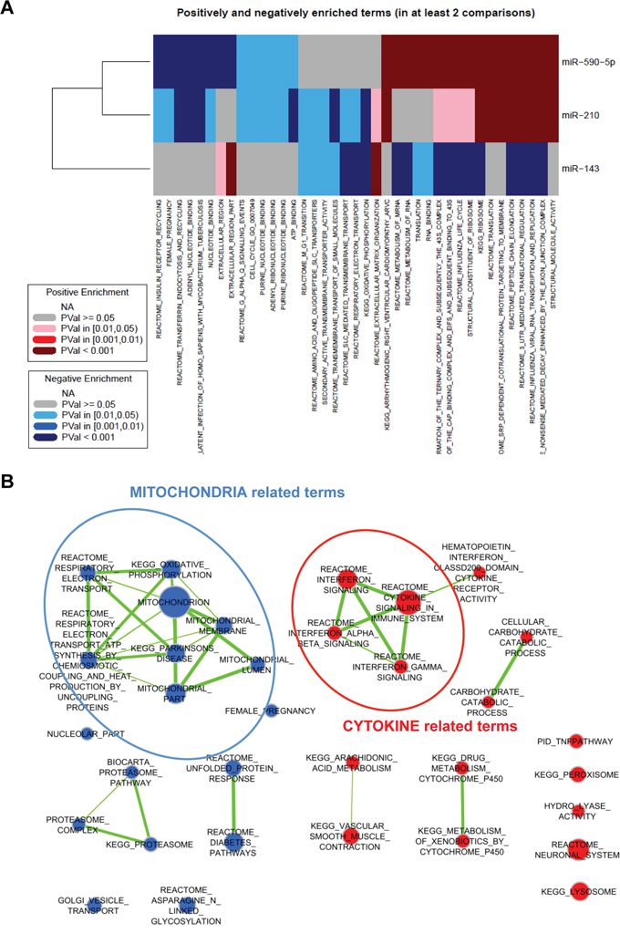 Integration of gene and miRNA expression data.