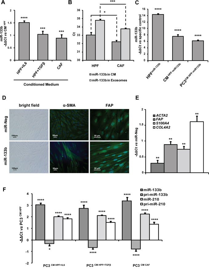 miR-133b induces fibroblast activation and acts as soluble factor for paracrine stimulation of fibroblast and tumor cells.
