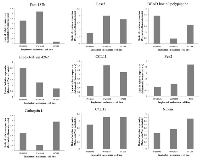 Validation of microarray data.