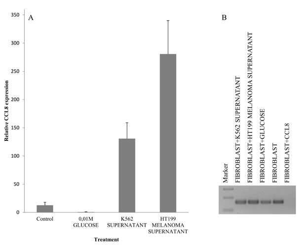 Simulation of host-tumor cooperation.