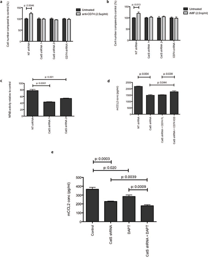 CatS regulation of CCL2 is mediated by CD74.