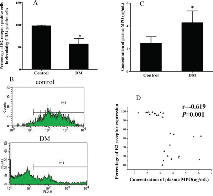 Expression of B2R on circulating CD34 positive cells of DM patients and healthy controls.