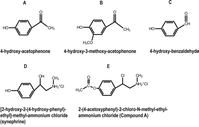 Chemical structures of selected phenolic compounds from S. tuberculatiformis, and their synthetic analog, Compound A.