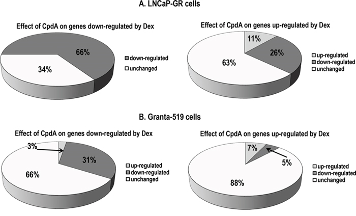 Global CpdA effect on the expression of glucocorticoid-responsive genes in epithelial and lymphoid cells.