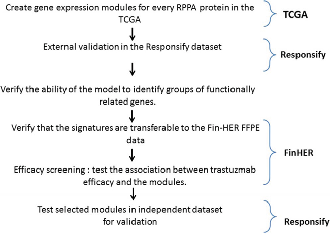 Metagene building and assessment procedure.