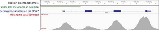 Read coverage for a sample gene using whole-exome sequencing (WXS) data, showing that sequencing can extend into intronic and promoter regions.