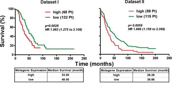 Axl-driven signature identifies the HGEOC patients with poor overall survival.