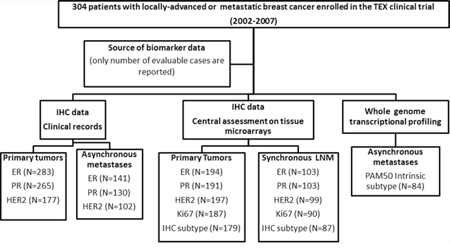 Flow chart showing the selection of patients included at different tumor progression stages.