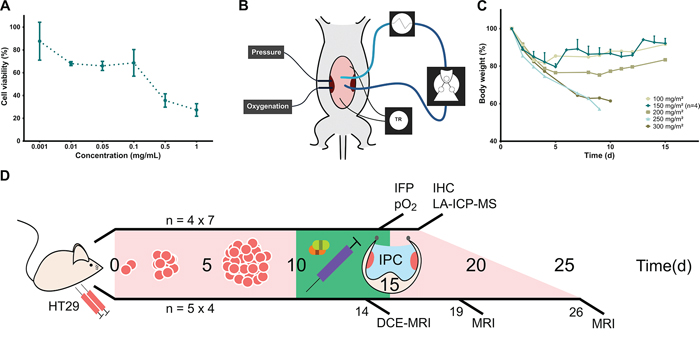 Oxaliplatin IPC model and experiment timeline.