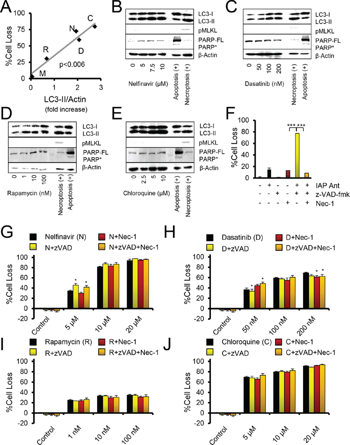 Autophagy drugs act independently of apoptosis and necroptosis.