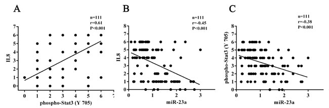 Correlation analyses based on IHC score and qRT-PCR 2