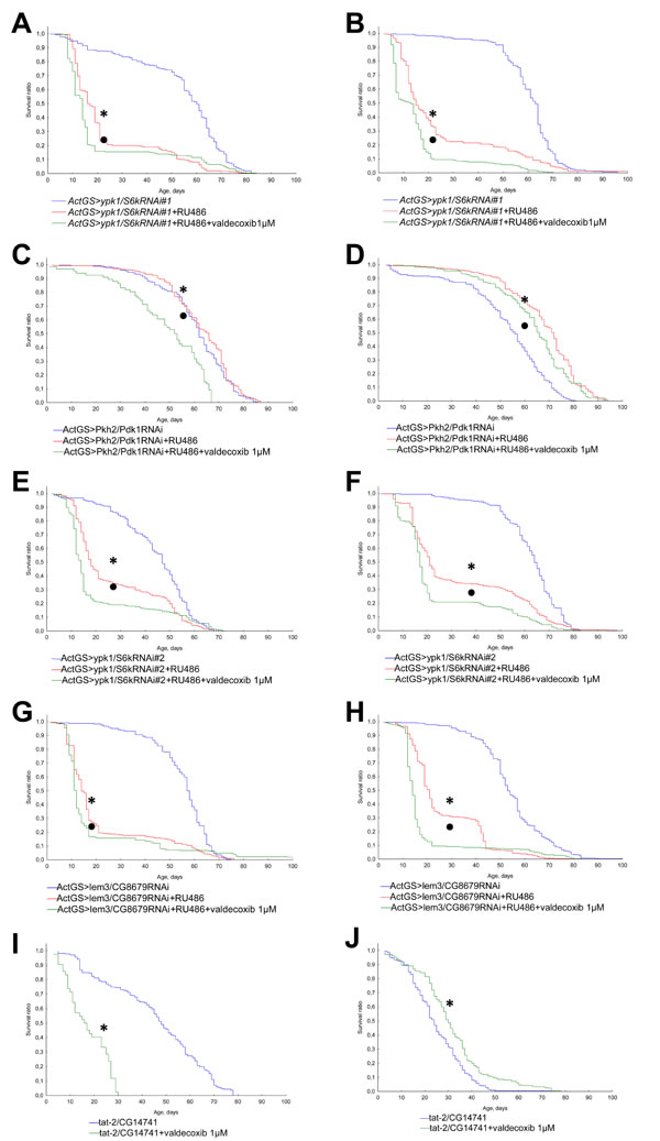 Effect of valdecoxib (1 &#x3bc;M) on the lifespan of
