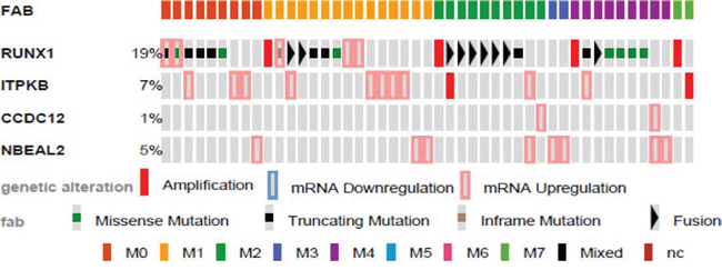 Genetic alterations of identified genes in human AML by FAB.