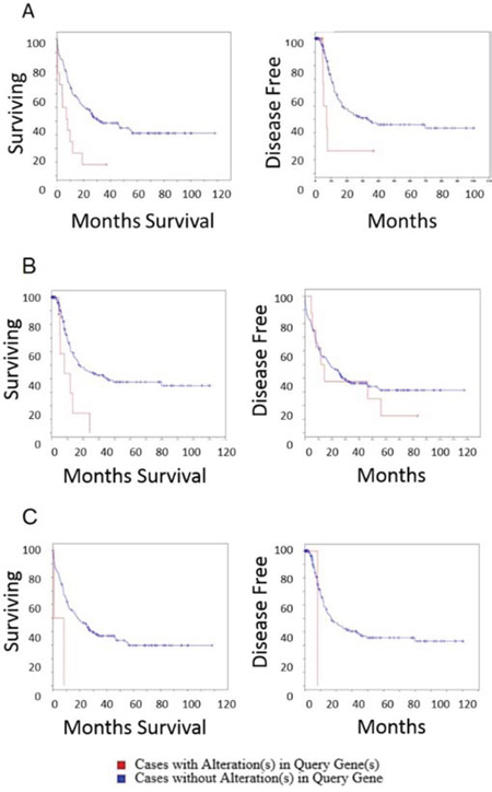 Overall survival and disease free survival analysis of ITPKB, NBEAL2 and CCDC12 in AML.