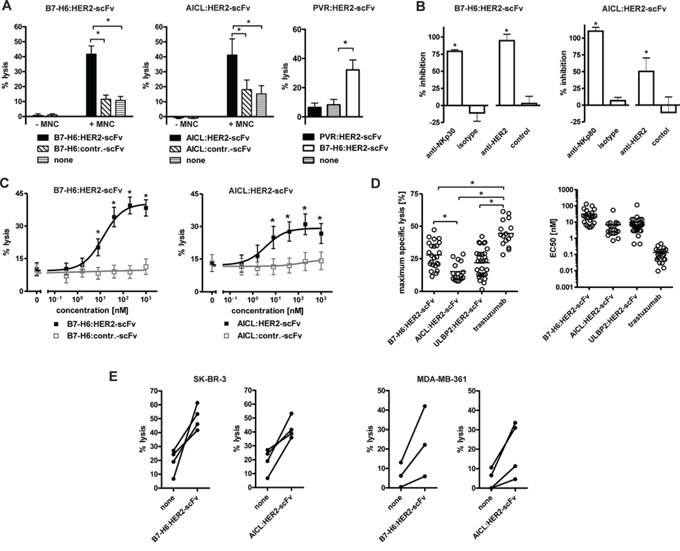 Cytotoxic abilities of the immunoligands.