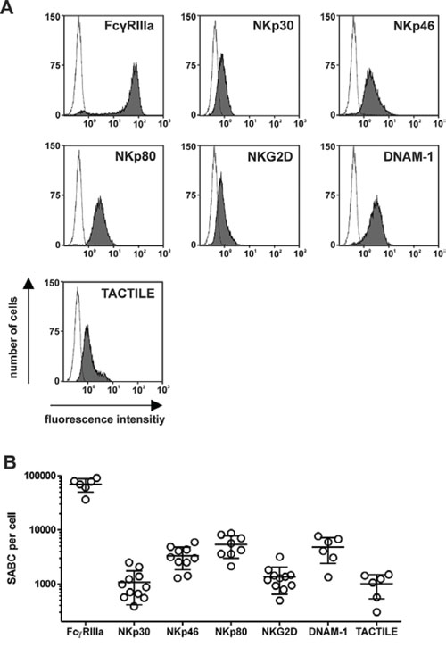 Expression levels of NK cell receptors.