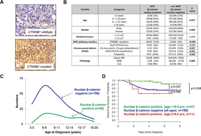 MBWNT subgroup tumors: clinical, pathological and molecular correlates.