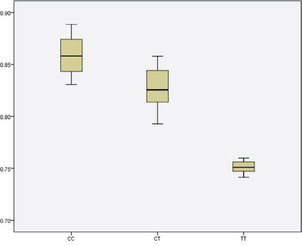 Boxplot for the RTL with different genotype of SNP rs2736098.
