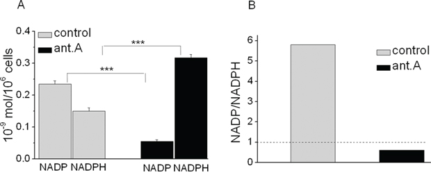 Effects of antimycin A on NADP and NADPH levels and their ratio in K562 cells.
