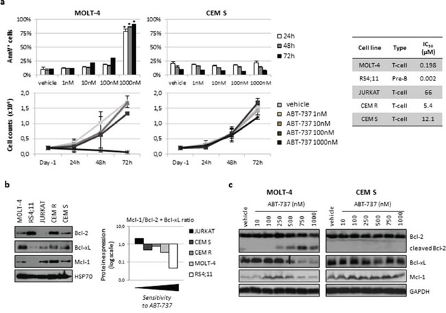 ABT-737 affected cell growth, induced apoptosis and modulated Bcl-2 family protein expression in ALL cell lines.