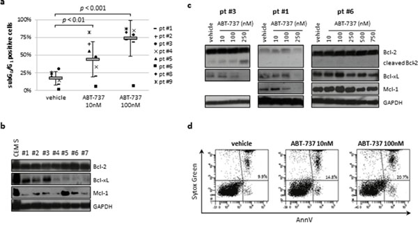 ABT-737 induced apoptosis in ALL primary samples but not in normal CD34+ cells.