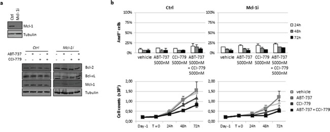Knockdown of Mcl-1 expression in CEM S cell line failed to enhance drug-induced apoptosis.