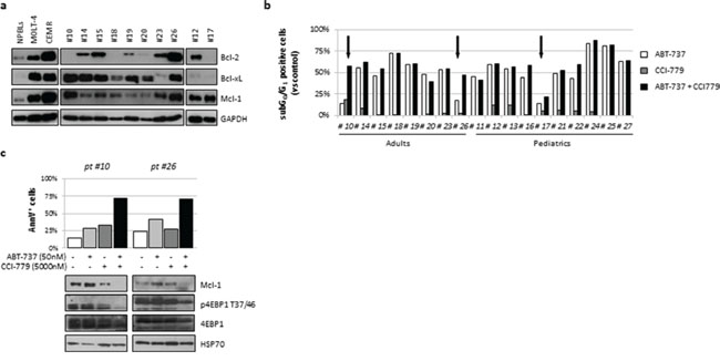 ABT-737 plus CCI-779 combination triggered apoptosis in resistant ALL primary cells.
