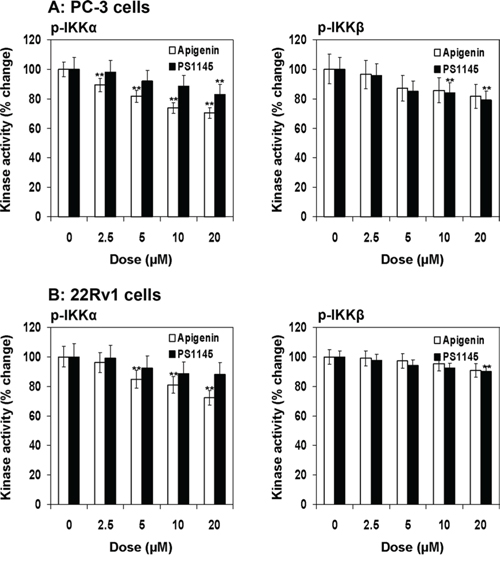 Effect of apigenin and PS1145 on IKK&#x03B1; and IKK&#x03B2; phosphorylation in human prostate cancer cells.